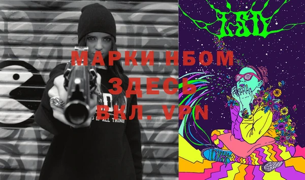 ГАЛЛЮЦИНОГЕННЫЕ ГРИБЫ Вяземский