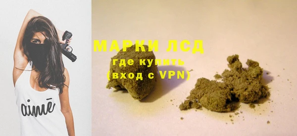 тгк Сатка