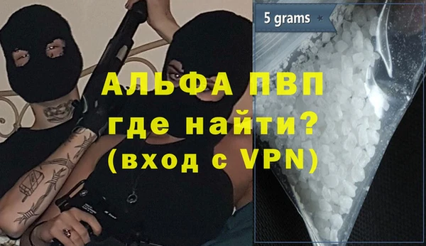 ГАЛЛЮЦИНОГЕННЫЕ ГРИБЫ Вяземский